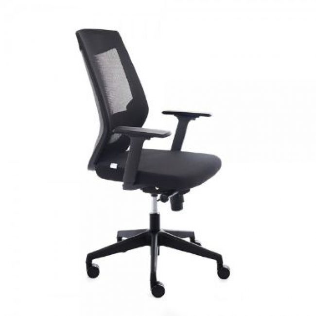 Cadira rodes amb braços negre Rocada RD-908/4