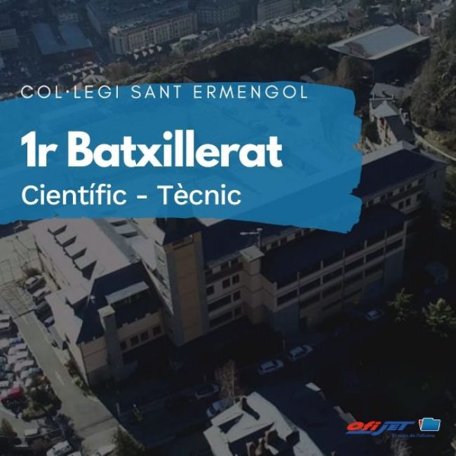 COL·LEGI SANT ERMENGOL - 1 BATXILLERAT CIÈNTIFIC-TÈCNIC