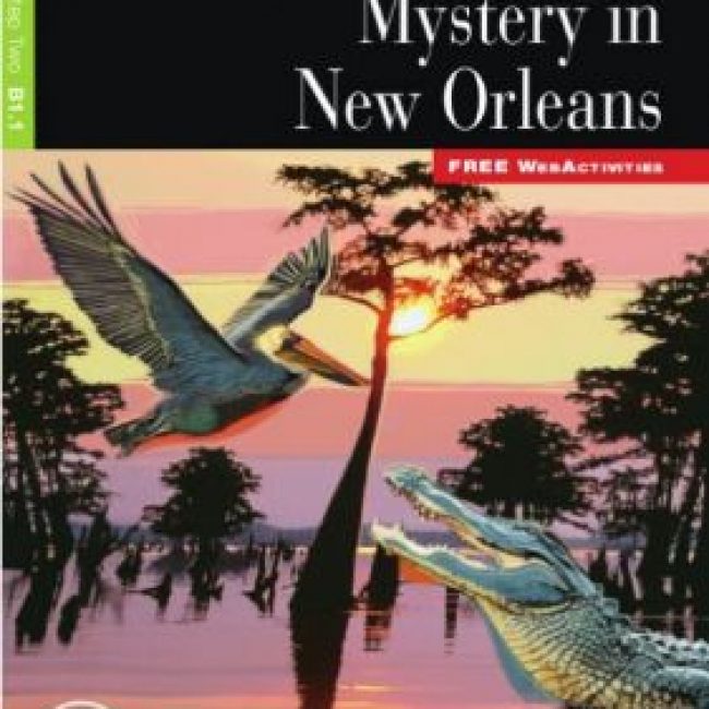 Mystery in New Orleans, Black Cat, Vicens Vives