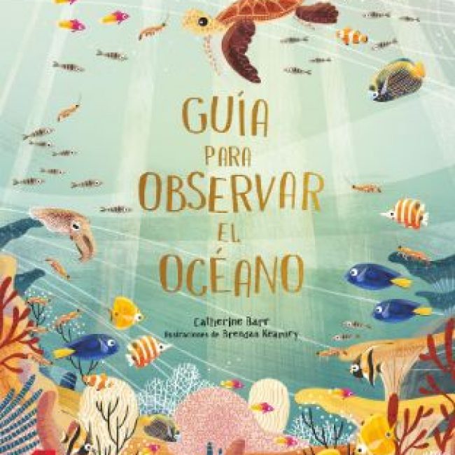 Guía para observar el océano, Catherine Barr, SM